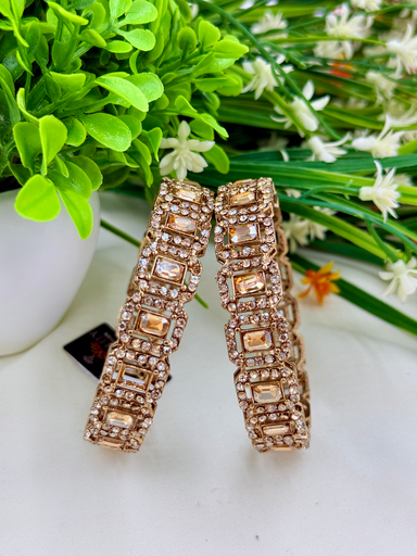 Mehendi Polish Party Wear Bangles 